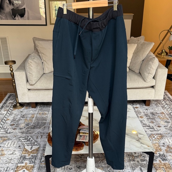 Lululemon DWR hiking pants - Picture 1 of 6